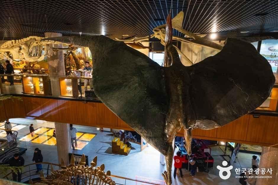 Flying reptile model hanging in the museum atrium