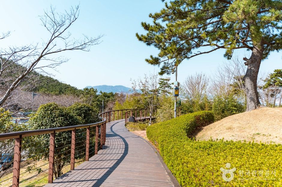 Wooden-railed boardwalk with pine trees along the Namparang Trail in Busan