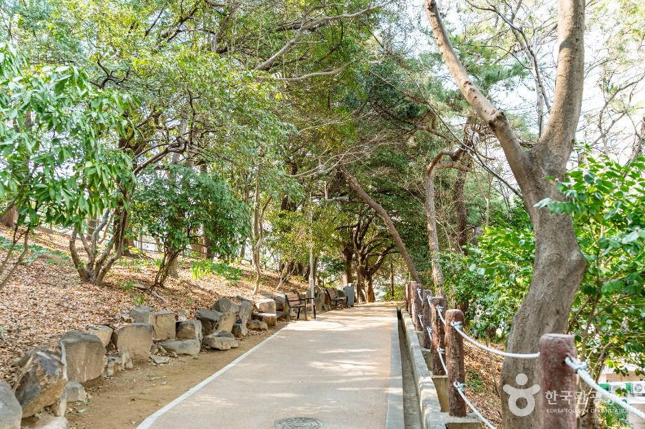 Tree-lined walking path on the Busan section of the Namparang Trail