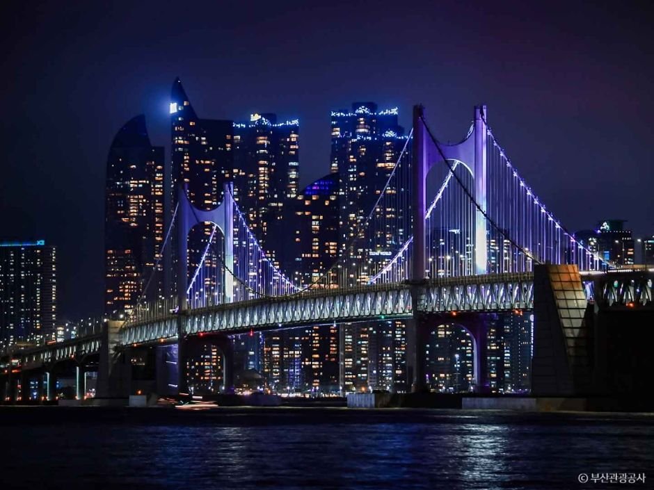 Gwangan Bridge lit in purple and blue with Haeundae skyline