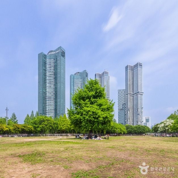 Wide lawn in Seoul Forest with green trees and high-rise towers