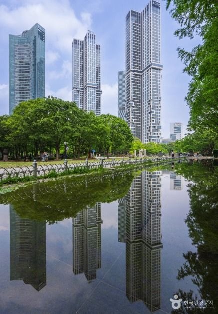 Seoul Forest pond reflecting trees and apartment towers